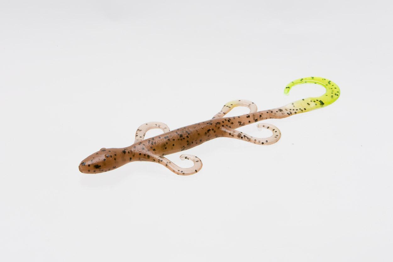 Zoom 002015 Lizard, 6