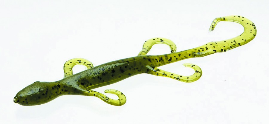Zoom 002019 Lizard, 6