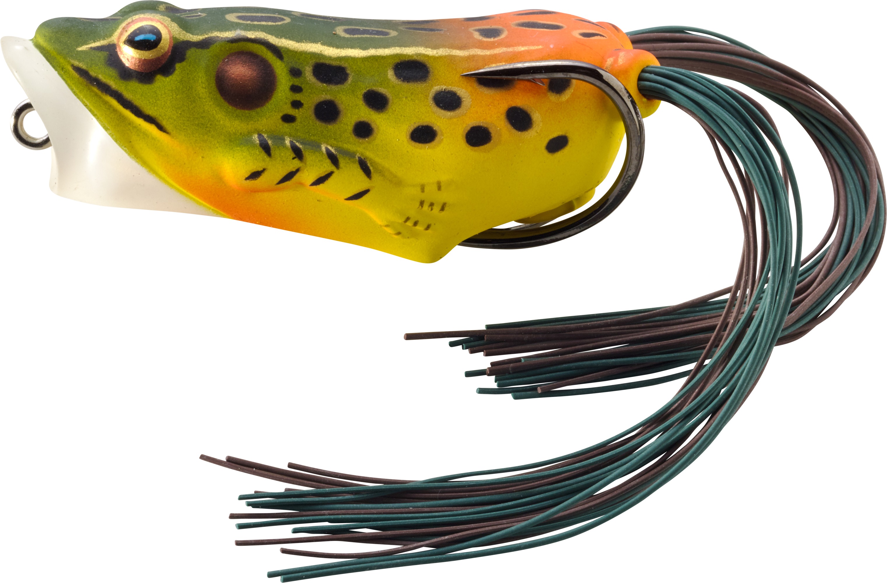 LiveTarget FHP65T519 Frog Hollow Body Popper Topwater Lure, 2 1/2