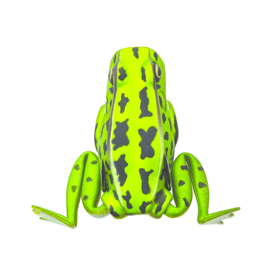 Lunkerhunt QPOP01 Popping Frog Hollow Body Frog, 2 1/4