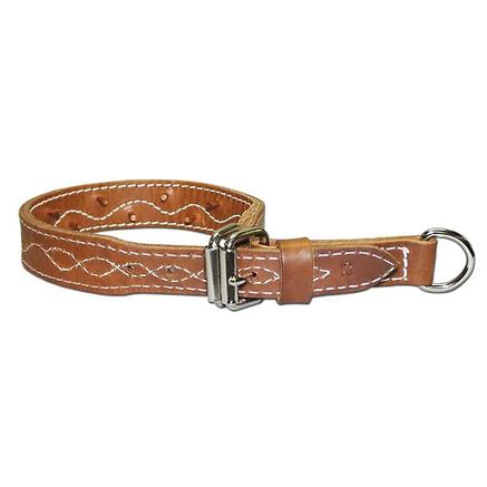 Omnipet Leather Force Collar 1.25