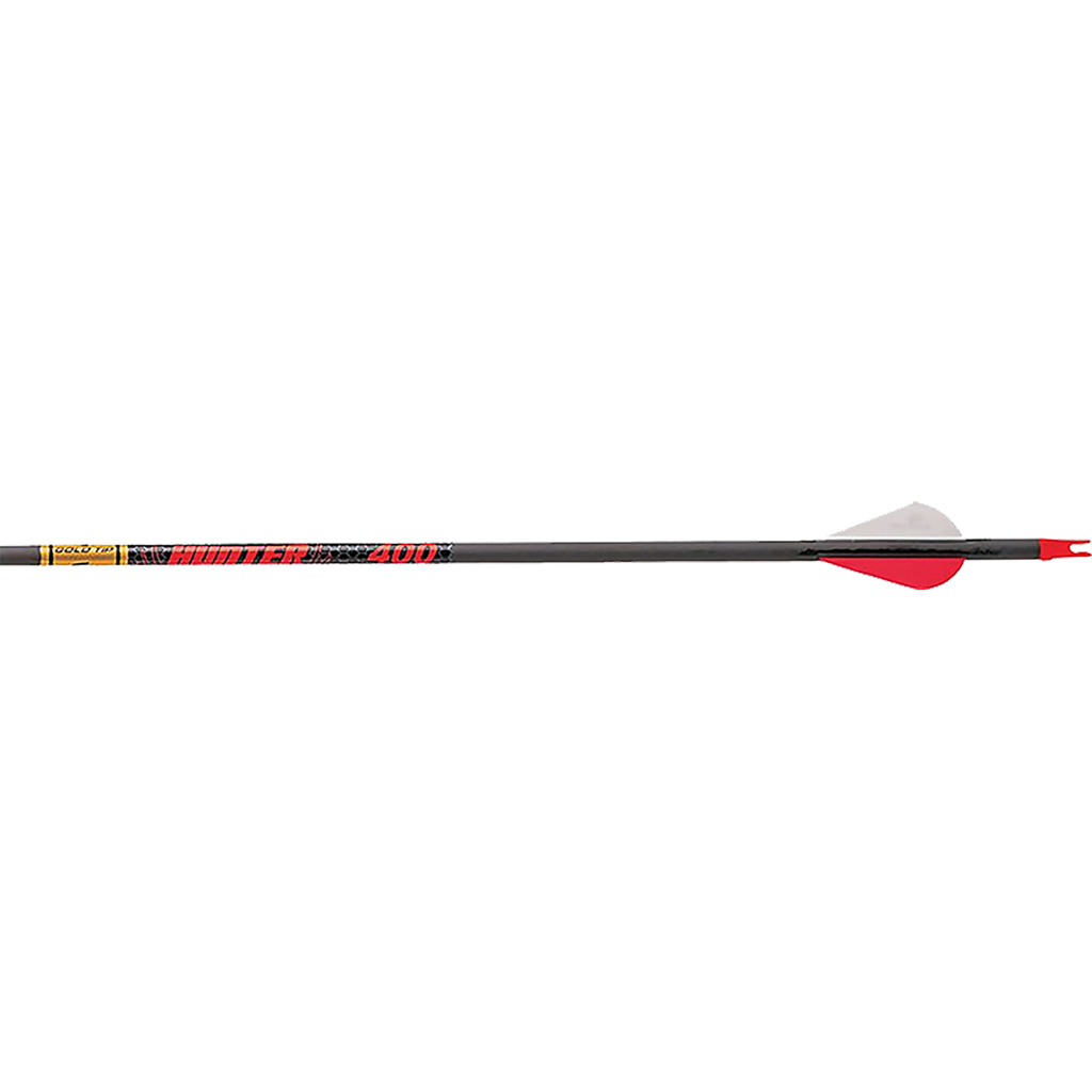 Gold Tip Hunter Arrows  <br>  500 Raptor Vanes 12 pk.