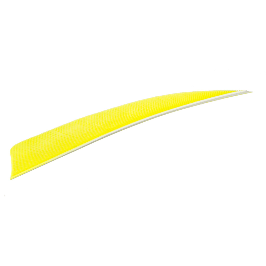 Trueflight Shield Cut Feathers  <br>  Chartreuse 5 in. LW 100 pk.