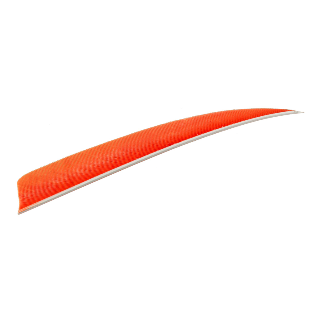 Trueflight Shield Cut Feathers  <br>  Orange 5 in. LW 100 pk.