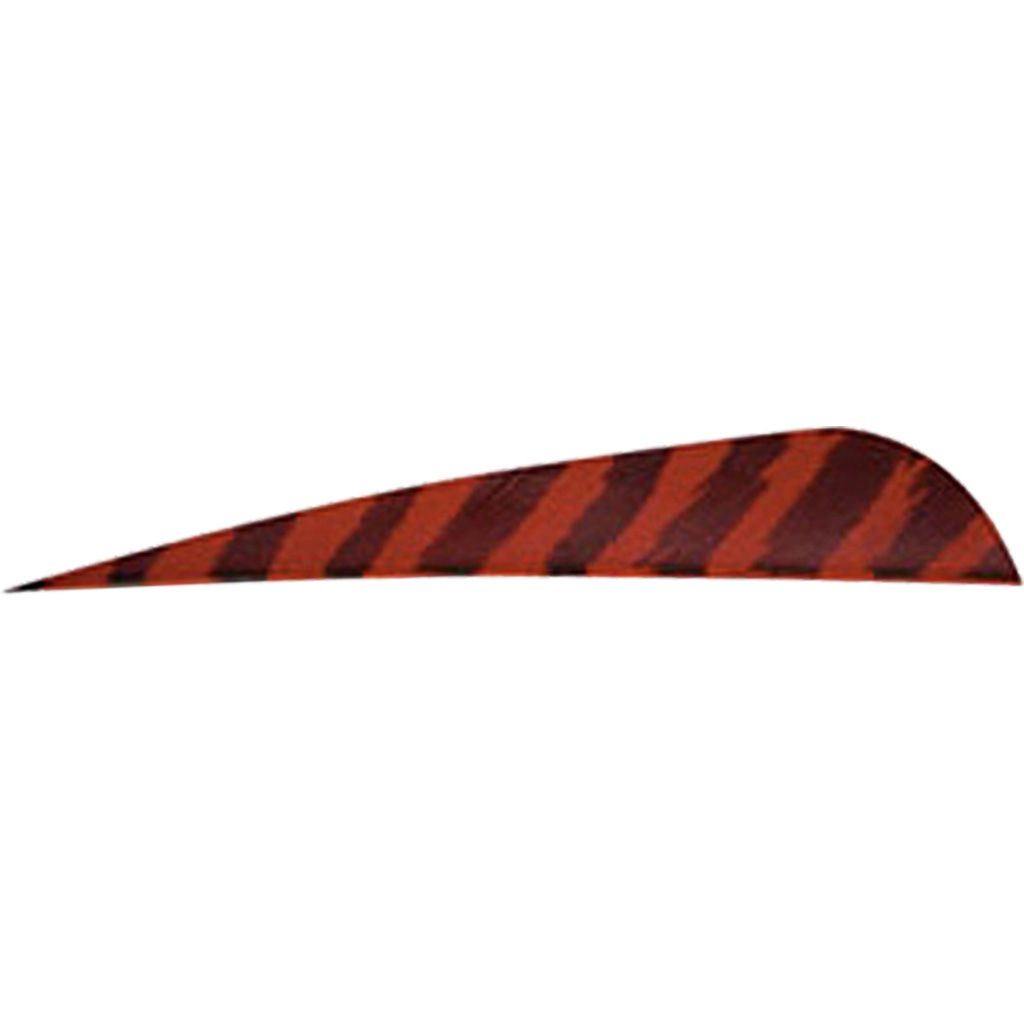 Gateway Barred Feathers  <br>  Red 4 in. RW 50 pk.