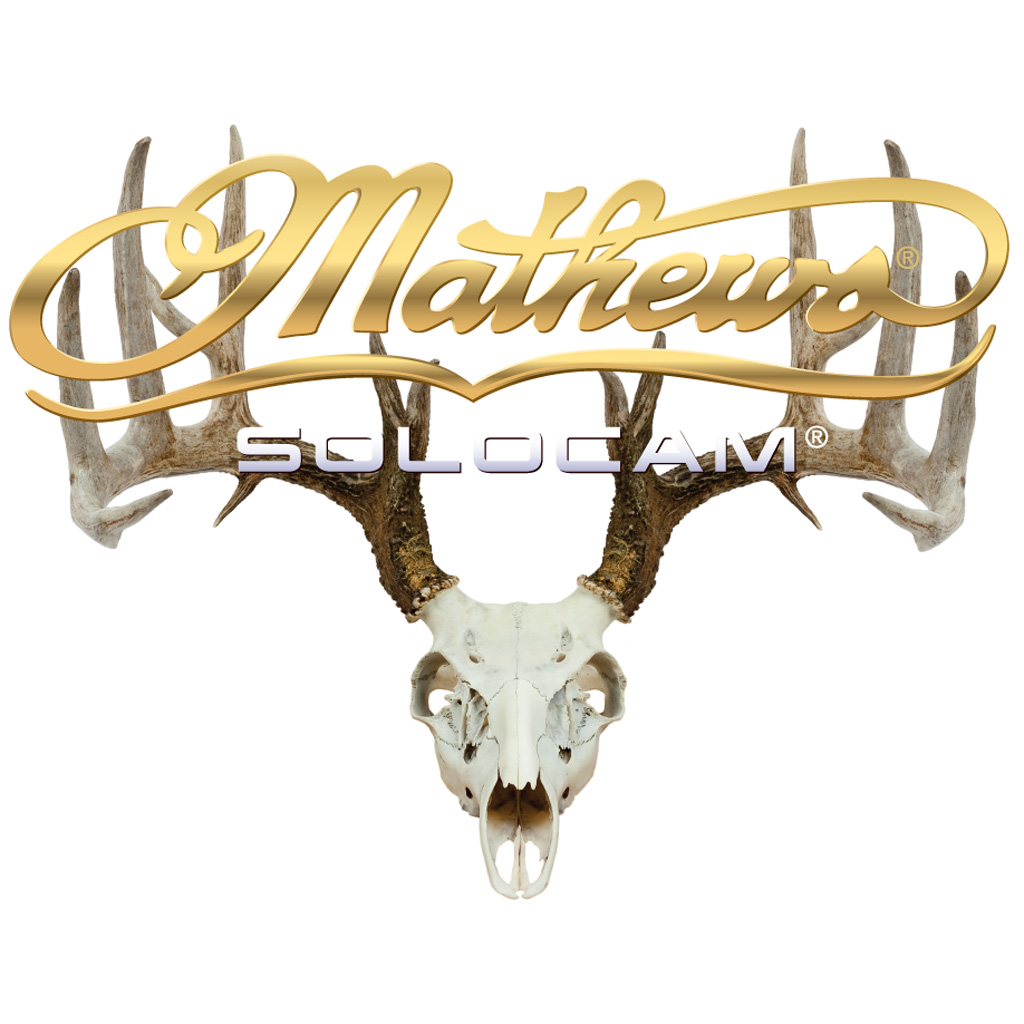 DWD Mathews Decal  <br>  Solocam Skull Gold 10x8 in.
