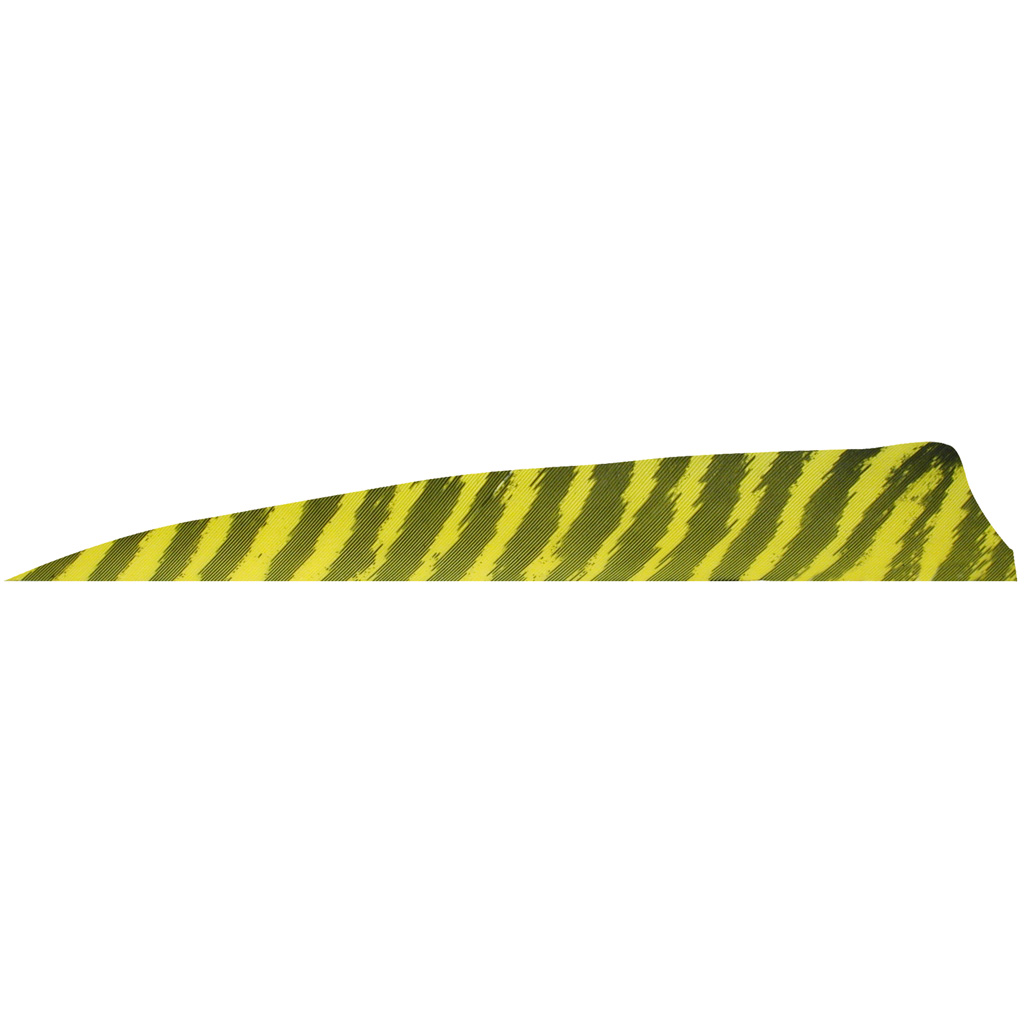 Gateway Shield Cut Feathers  <br>  Barred Yellow 4 in. RW 100 Pk.