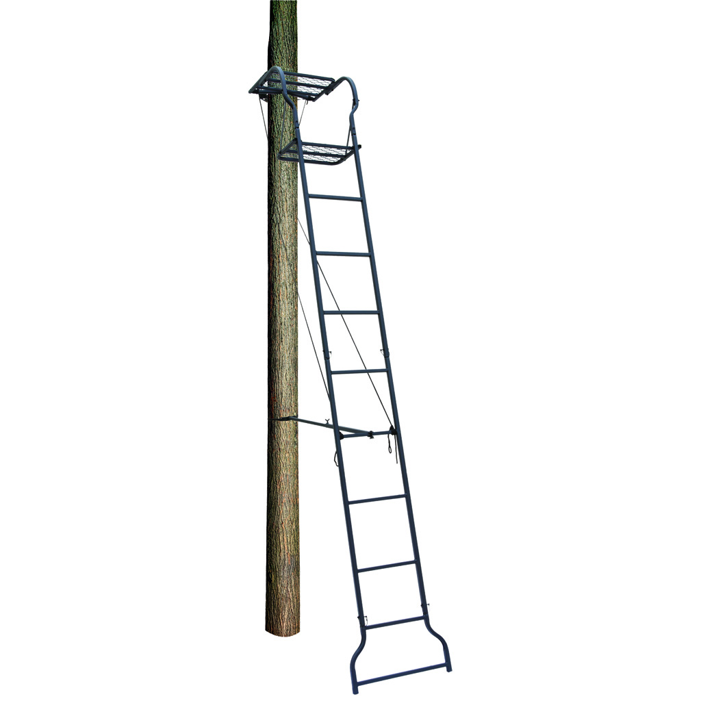 Big Dog Dash Hound Ladder Stand 16 ft.