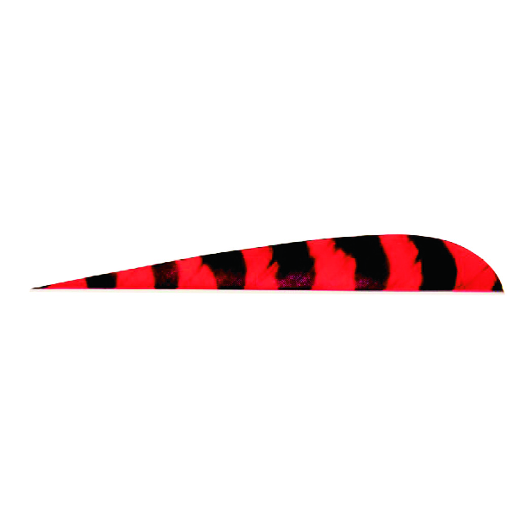 Trueflight Parabolic Feathers  <br>  Barred Red 4 in. LW 100 pk.