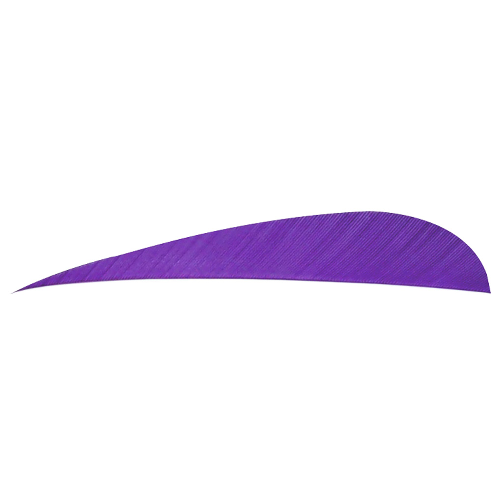 Trueflight Parabolic Feathers  <br>  Purple 4 in. LW 100 pk.