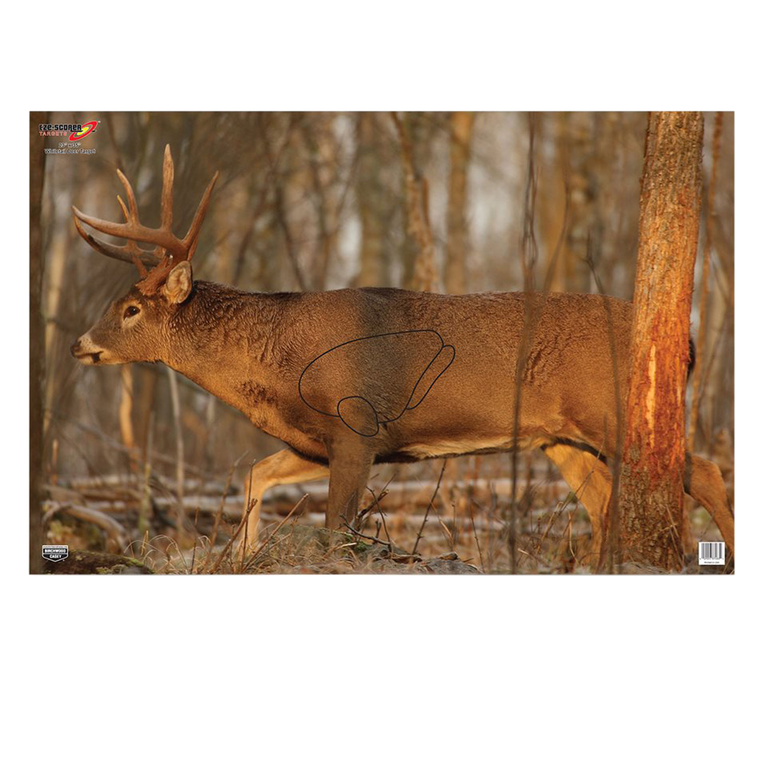 Birchwood Casey EZE-Scorer Whitetail Target  <br>  23x35 in. 2 pk.