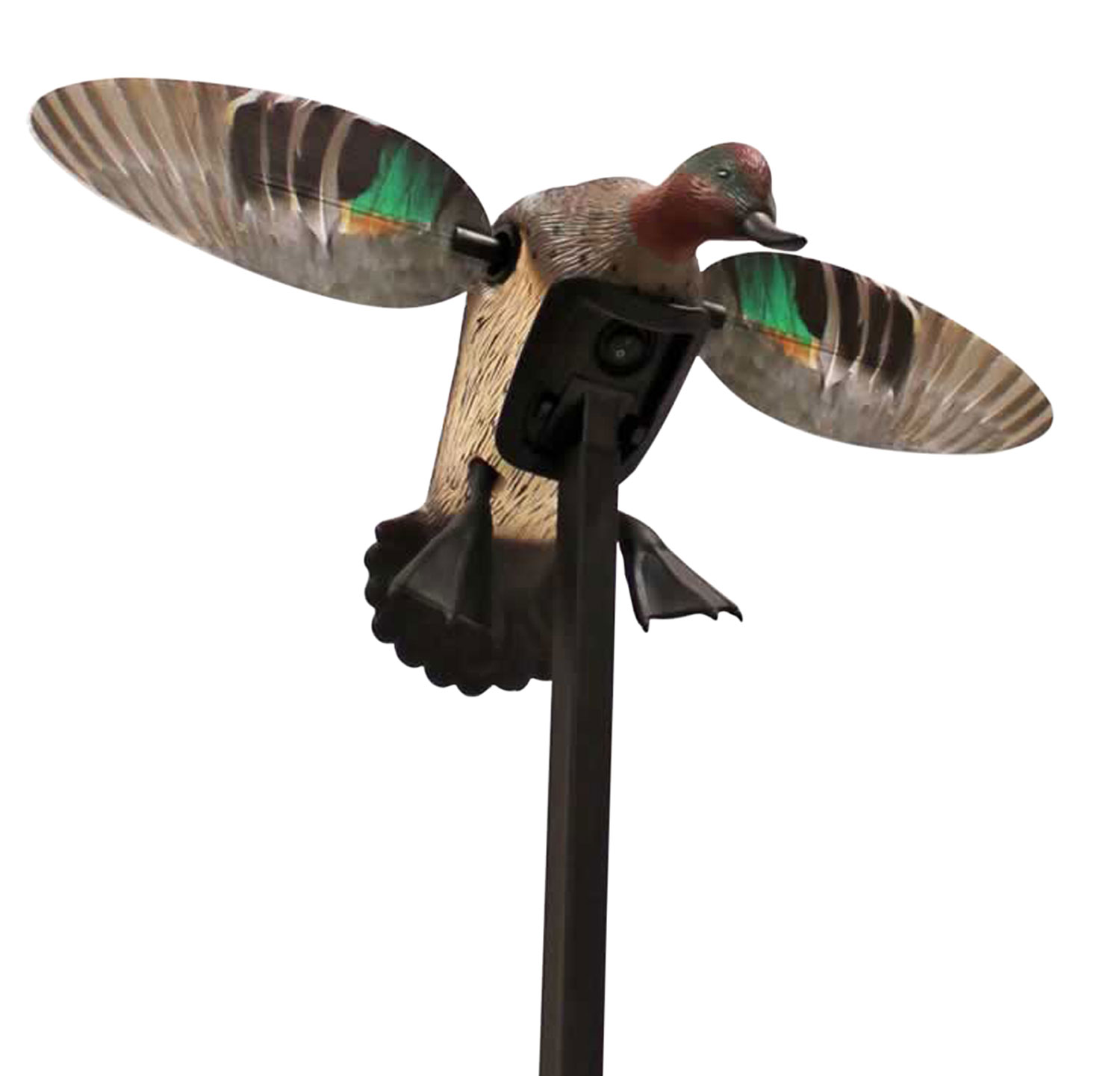 Mojo Outdoors HW2474 Elite Series Green Winged Teal Duck Species Natural Molded Plastic Features Remote Compatible