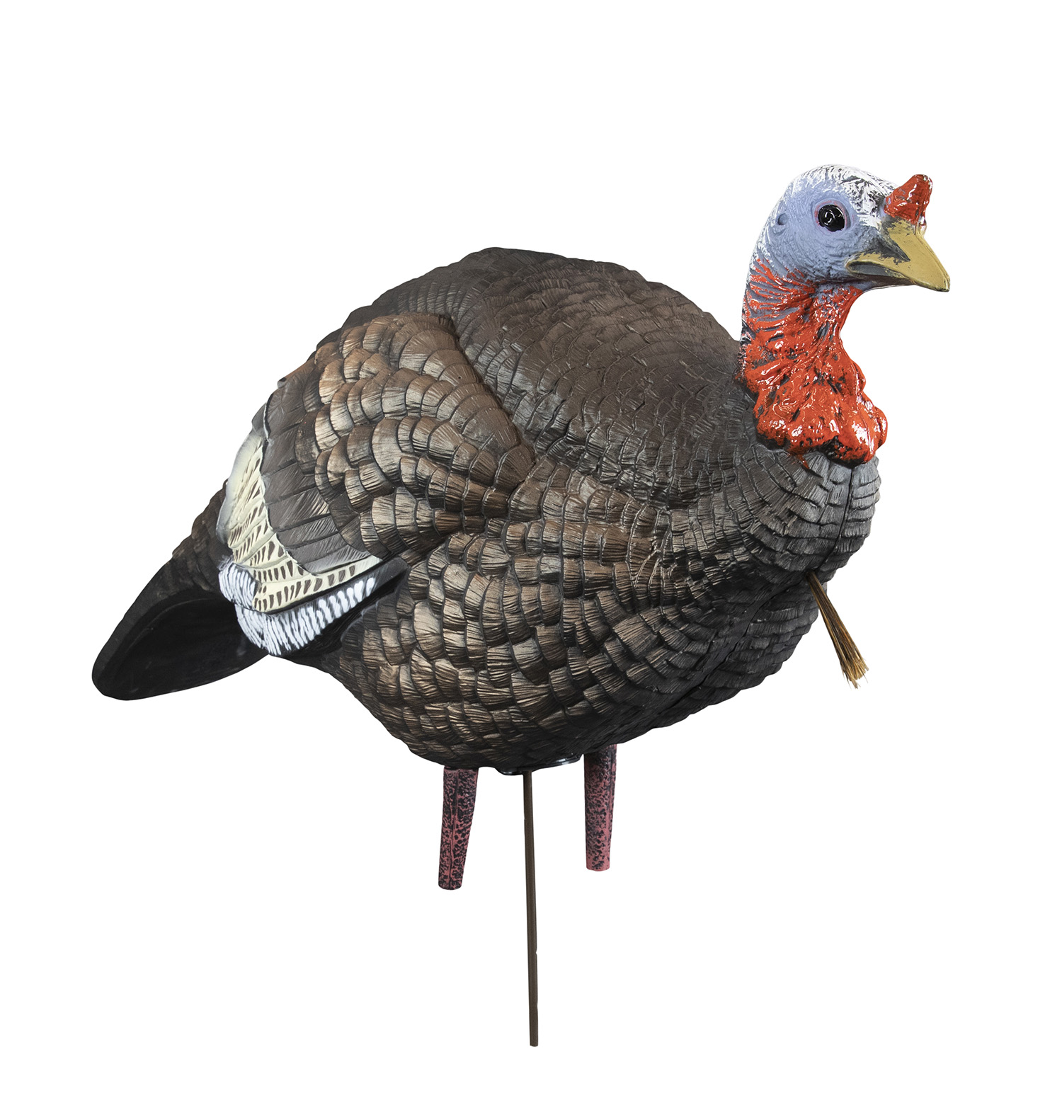 Higdon Outdoors 63144 Hard Body 1/4 Strut Jake Turkey Jake Species Multi Color