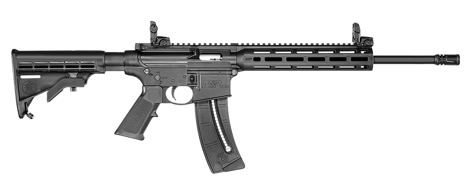Smith & Wesson 10208 M&P15-22 Sport 22 LR Caliber with 25+1 Capacity, 16.50
