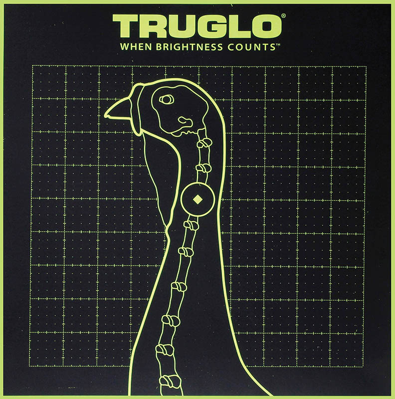 TruGlo TruSee Splatter Turkey Target  <br>  Green 12x12 6 pk.