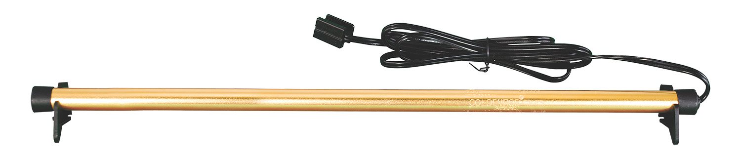 GOLDEN ROD 24