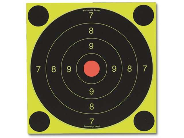 Birchwood Casey Shoot-N-C International Target